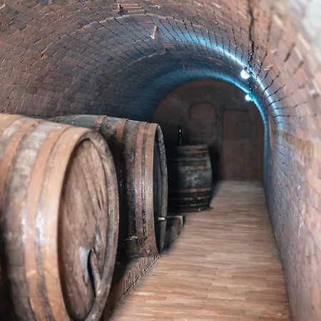 Отель Winzerhof Kuessler - Weinviertel 3*