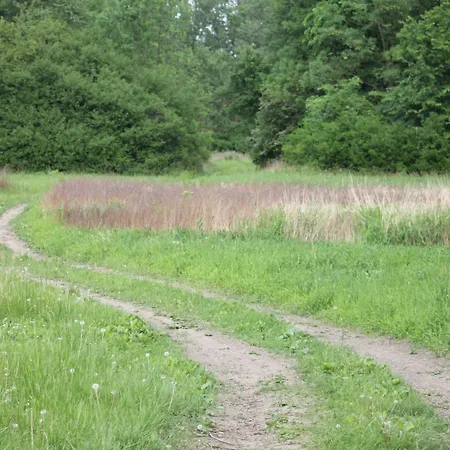 Отель Winzerhof Kuessler - Weinviertel Stillfried