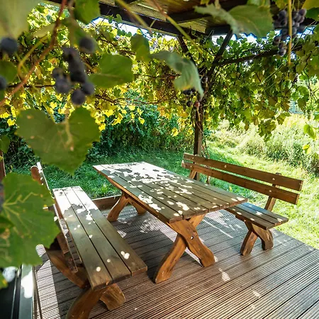 Hotel Winzerhof Kuessler - Weinviertel