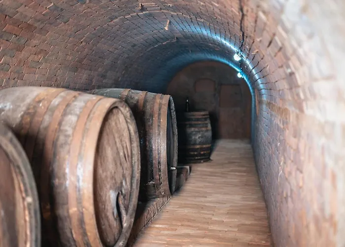 Hotel Winzerhof Küssler - Weinviertel 3*