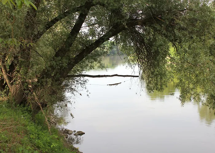 文赛尔霍夫库斯勒尔-万威尔特酒店 Stillfried