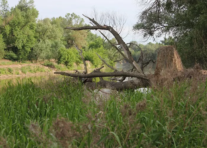 酒店 文赛尔霍夫库斯勒尔-万威尔特酒店 3*