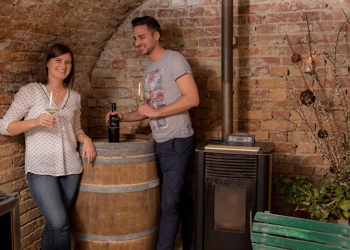 文赛尔霍夫库斯勒尔-万威尔特酒店 3* Stillfried